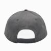 Battletoads Grey 6 Panel Snapback Hat