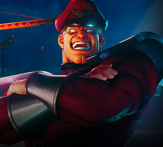 SF Bison