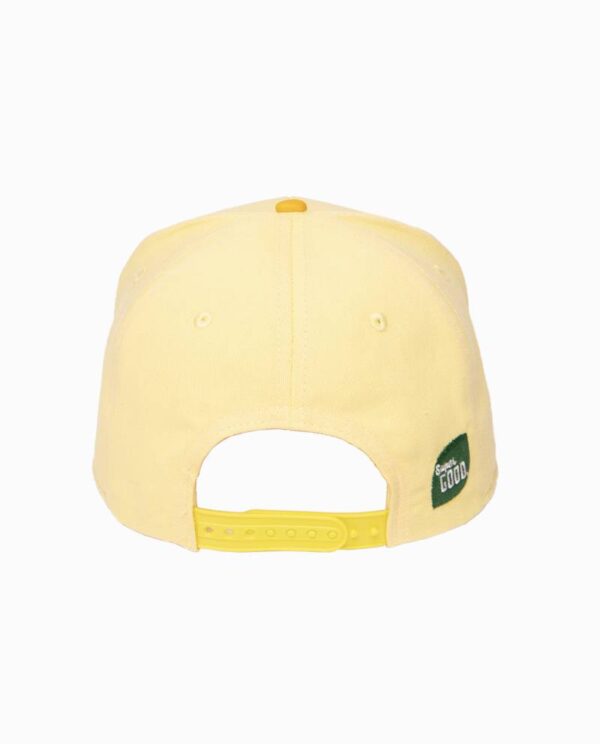 Jarritos Hat Back View Image