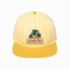 Jarritos Hat Front Main Image