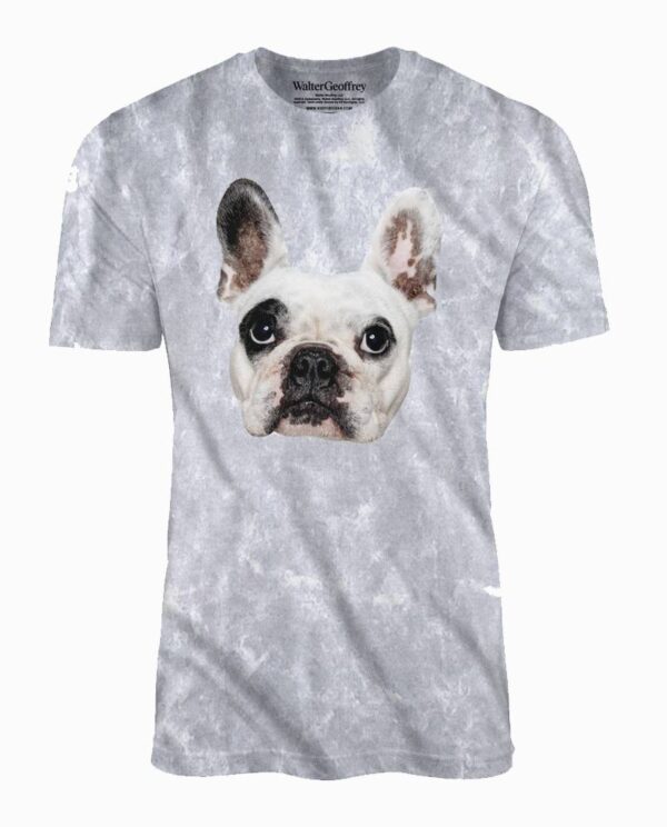 Walter Geoffrey Silver Mineral Wash T-Shirt Main Image