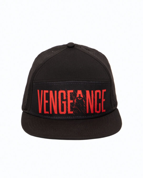 Batman I am Vengeance Hat Main Image