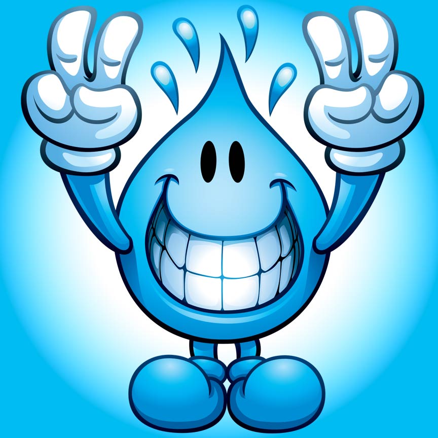 Wet Willy Main Image